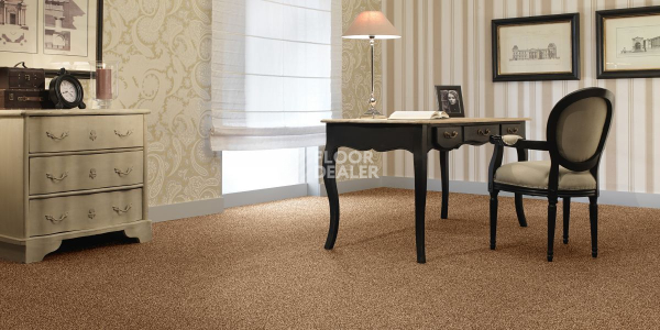 Ковролин AW Stainguard Harvest 43 фото 2 | FLOORDEALER